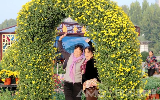安阳市第32届菊花展开幕！持续到11月中下旬