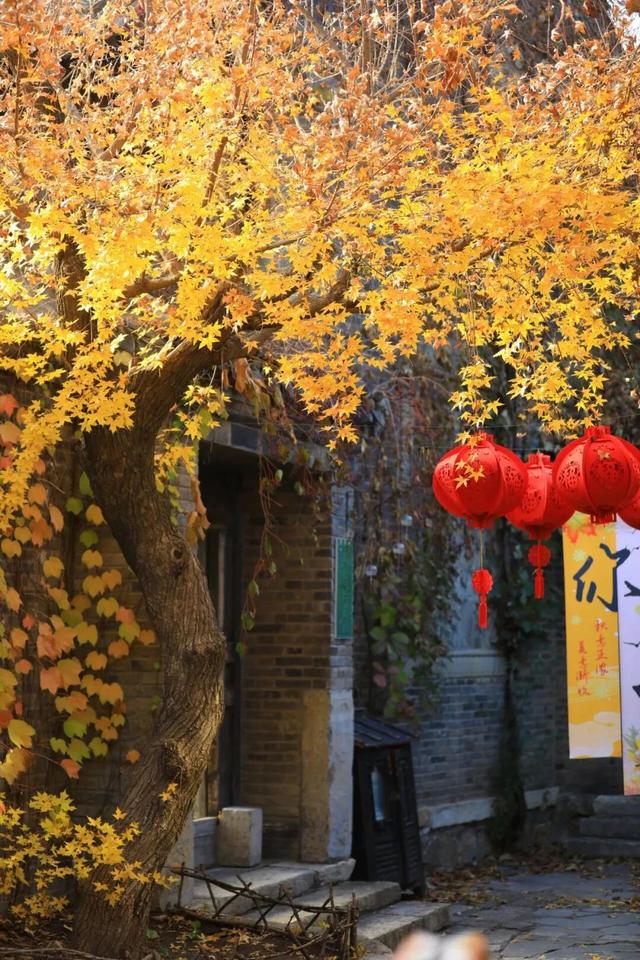 北京唯一！这座“中国历史文化名镇”上新“文旅地标” | 周末京郊微度假