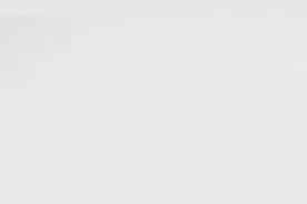 “全家总动员”！看绵阳野生川金丝猴“遛娃”图片