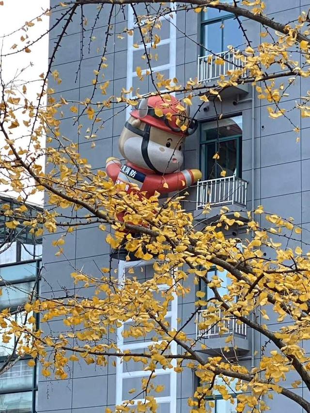 局门路落叶余额不足！市民寒风中打卡满地落叶美景，街头烟火美食也别错过