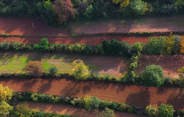 逃离城市！在山野里邂逅最鲜活的色彩盛宴→