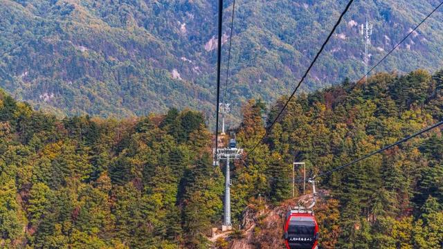 别再问了！洛阳秋色天花板，就藏在这里→