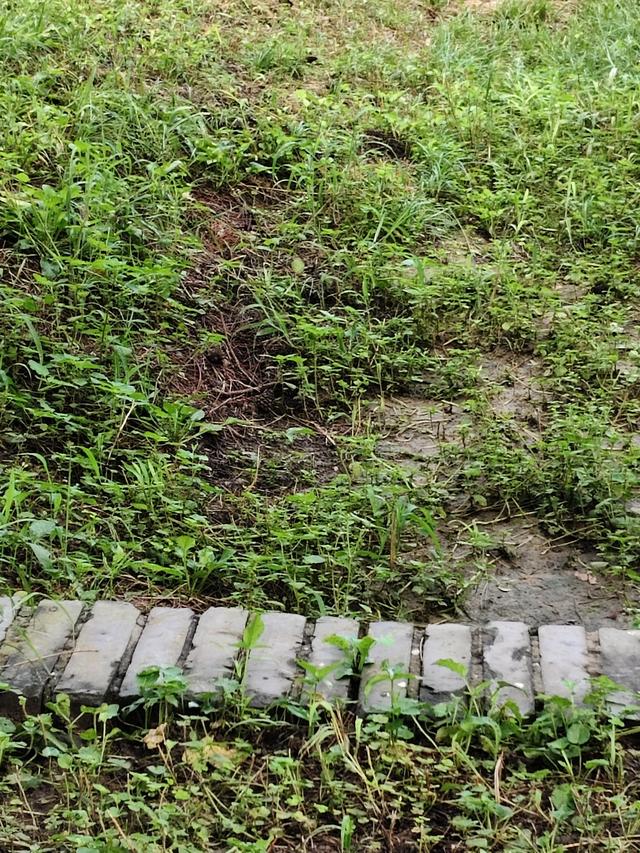 天坛界墙下的排水沟眼能称水关吗？
