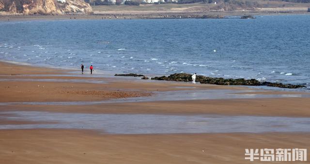 冬日暖阳映海滨
