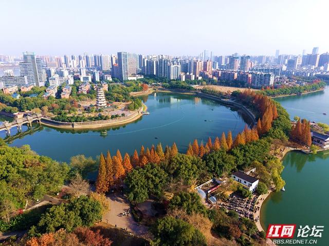 长沙人的周末：去烈士公园赴一场秋冬之约