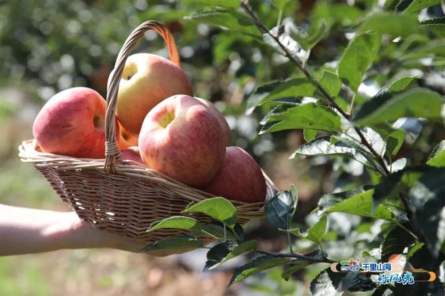 出发！抓住秋天的尾巴威海『拾秋地图』上新啦