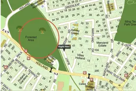 中国外卖小哥特意飞新加坡，为犯罪团伙接收50万新币赃款图片