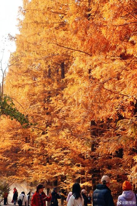 收藏！秋天是写在古都的诗篇