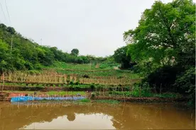 发展生态农业，让乡村“持续”美丽图片