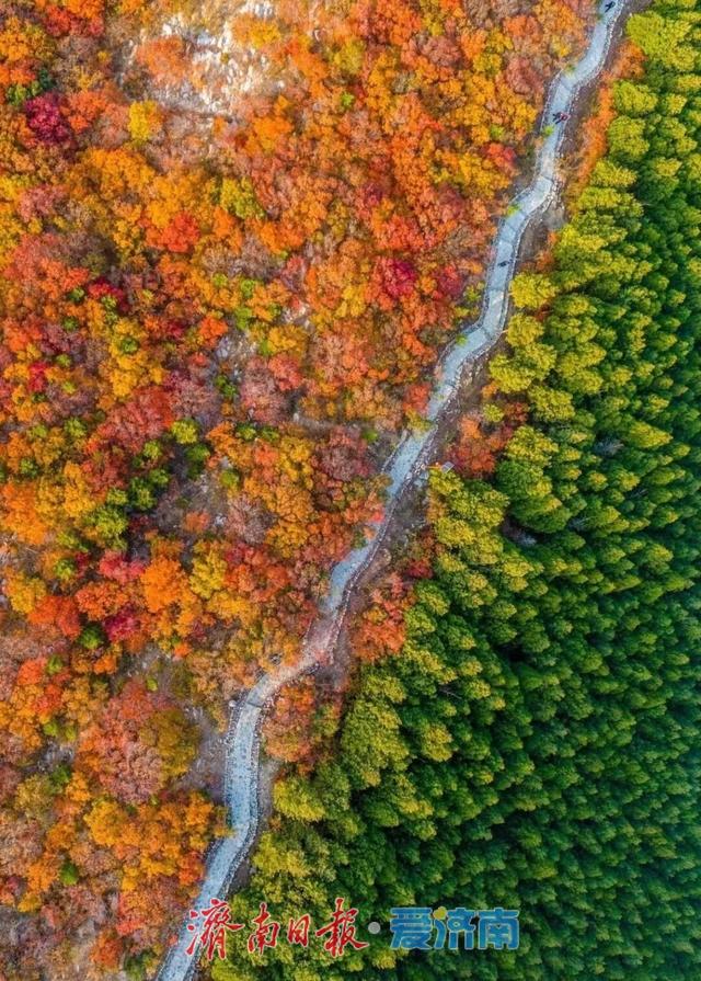 一城山色·泉城绿道 | ③大千佛山片区及周边景区绿道连通惠及广大市民