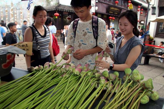 江苏苏州：山塘街荷花俏销 感受初秋浪漫