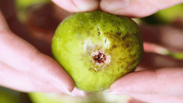 乘着高铁游威海 | 下一站，荣成！