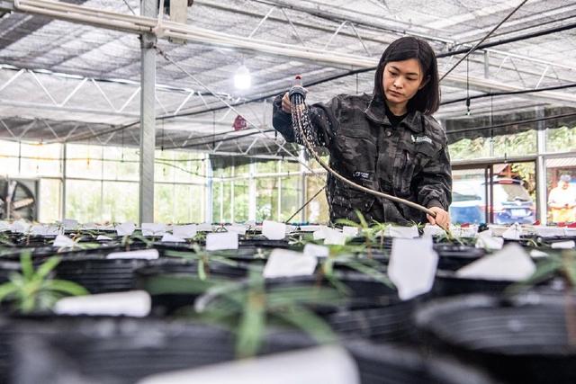 央媒看重庆｜南川：科技赋能生物多样性保护