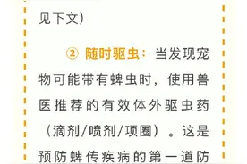 当心！宠物身上藏“虫”，咬人可致病图片