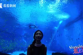 水下“繁花”世界 邂逅穿越时空的美人鱼秀图片