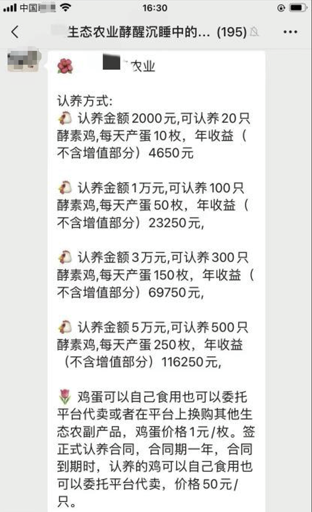 App里花上万元养的小鸡“一夜蒸发”？起底“云养殖”骗局