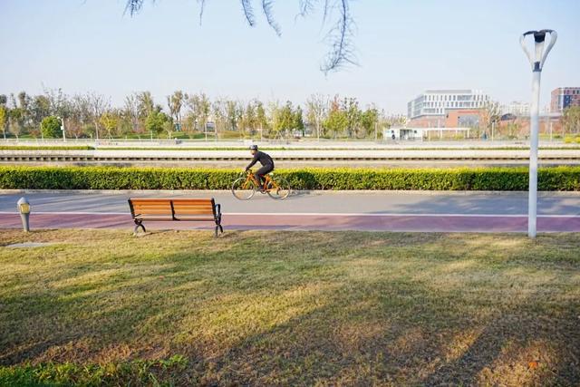 音乐公园、滨河步道……长宁这条有点小众的赏秋路线，别错过了！