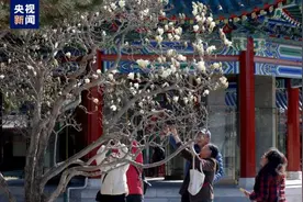 花开北京！132处赏花片区邀市民游客领略京城春色图片