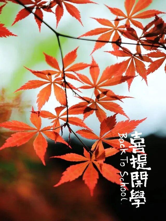 欢迎新同学！！