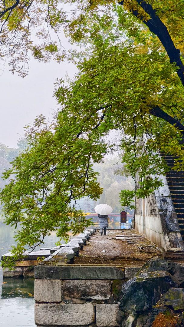 雨落颐和园后溪湖，秋色染透一地金黄