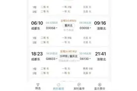 12306上新！坐火车的速看图片