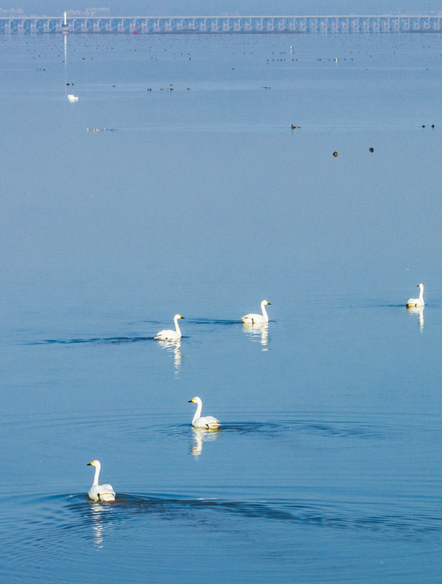 溧水秋天，有点好“骑”~