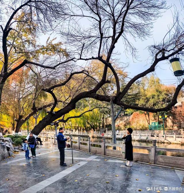 济南青龙桥护城河畔，美景随手拈来