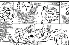 网购盆景竟是重点保护蕨类 私自采挖野生植物或违法图片