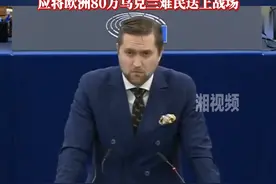欧洲议会议员出招助力泽连斯基：将80万乌克兰难民送上战场图片
