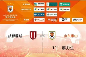 泰山队，中超首支300胜球队图片