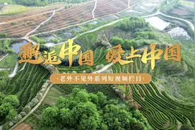 【邂逅中国 爱上中国】巴基斯坦留学生可汗：我的“毛尖”奇遇记图片