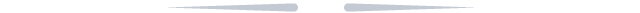 十国华裔英才共绘姑苏科创人文新图景
