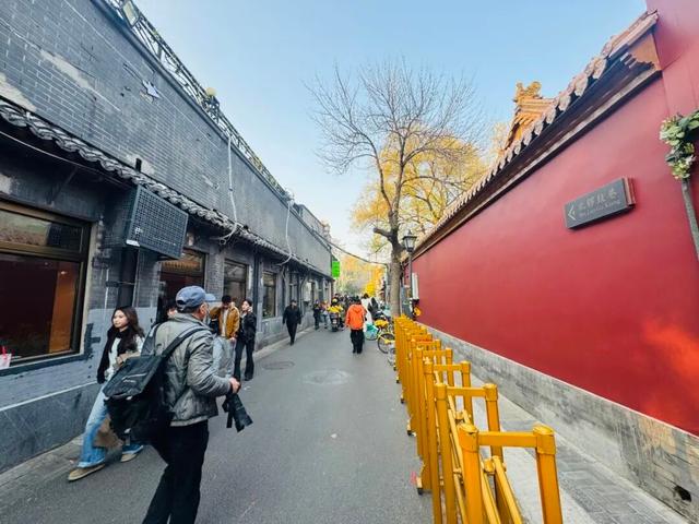 胡同不一“Young” | 北锣鼓巷：白蜡树下的北平之秋