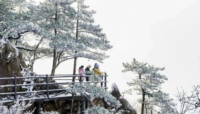 别等了！来九华赏雪景