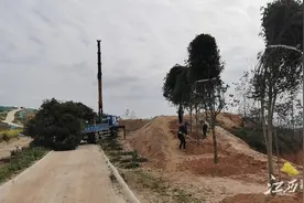 崩岗“变身”花果山图片