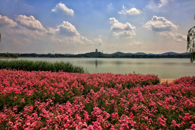 在平阴，有一种幸福是“家在公园里”