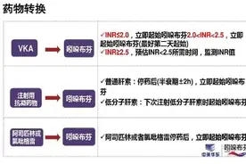 氯吡格雷引起消化道出血，抗血小板药怎么选？（吲哚布芬）图片