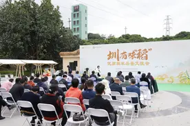 深圳市农促中心举办2023年优质稻米品鉴交流活动图片