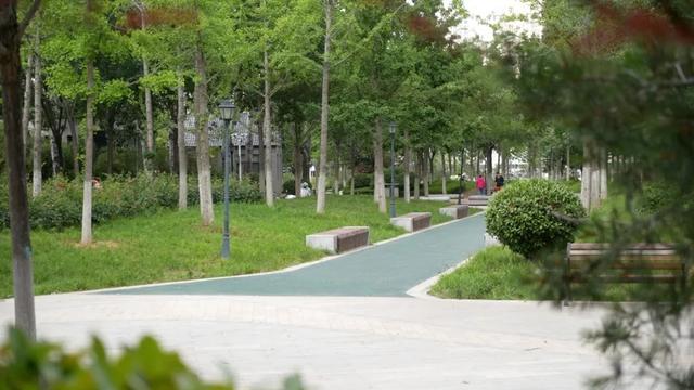 济南工业南路绿道焕新：9.5 公里 “会呼吸” 的风景线 重构市民慢行生活