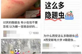西安多区高层发现隐翅虫？不要用手拍！疾控中心：这样处理→图片