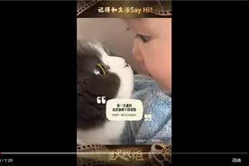 星火成炬 ｜记得和生活Say Hi图片