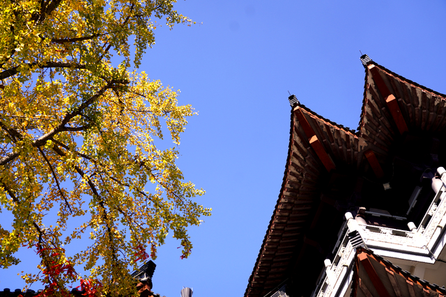 句容的外面是什么？