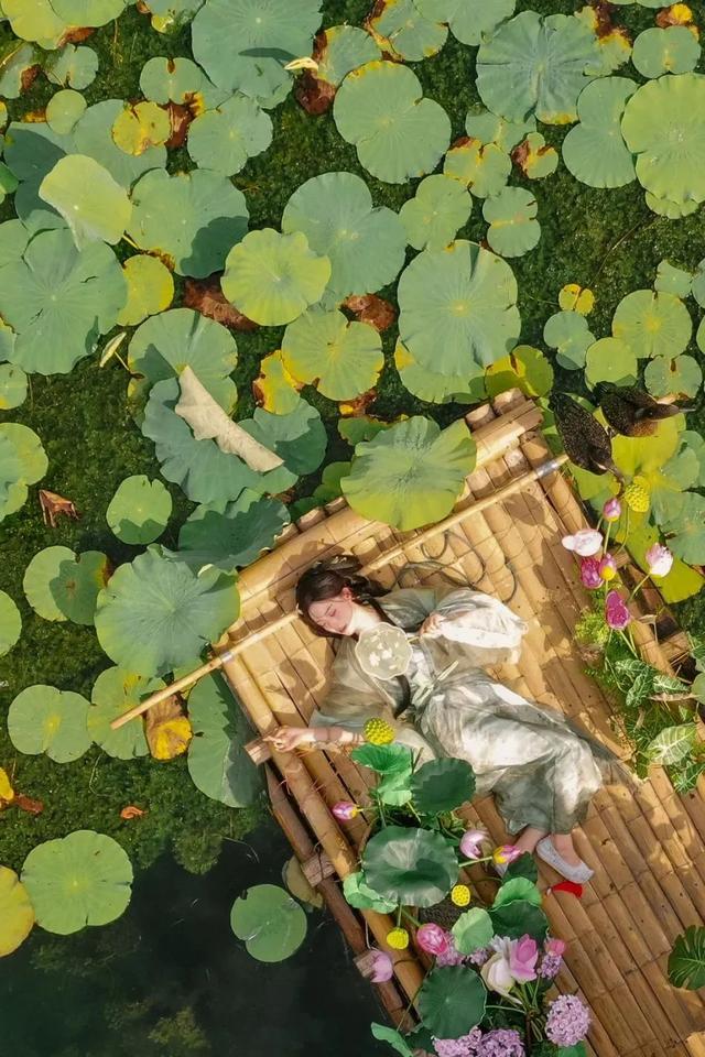 写信告诉我，今天，宜宾的“海”是什么颜色……