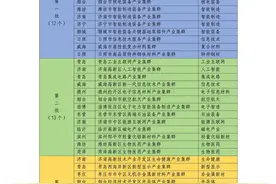 集群规模达到3.48万亿元 集聚规上企业6000余家  从“战新”产业看山东城市竞争力图片