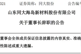 山东同大海岛新材料股份有限公司董事长张振江辞职图片