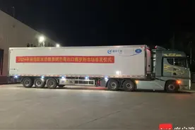 远销俄罗斯！“陵水珍鲜”景鹏芒果实现“零出口”突破图片