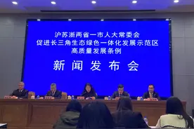 深化高质量发展，沪苏浙协同发布长三角一体化示范区条例图片