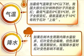 全国红叶地图出炉，青岛上榜！你想和谁一起看万山红遍？图片