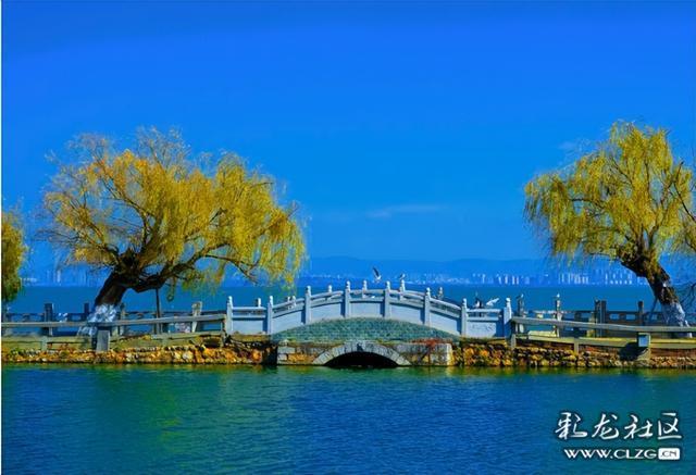 昆明小众人少看滇池喂海鸥的宝藏打卡地