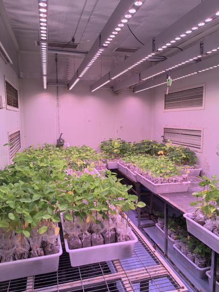科技创新十四五·走进实验室|黄土高原水土流失治理背后有哪些“硬核科技”